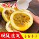新鮮欽蜜9號百香果5斤香甜黃金百香果當季現摘百香果茶原料包郵 欽蜜9號百香果【單果70-90克】5斤