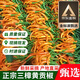 果益壽 湖南衡東三樟黃貢椒原產(chǎn)地直供辣子現(xiàn)摘現(xiàn)發(fā)新鮮湖南特產(chǎn)黃辣椒 500g