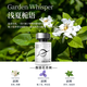 點(diǎn)氛車載香薰汽車香水車內(nèi)用男女士高級正品香氛高端持久淡香清新空氣 【淺夏梔語】馥郁花香調(diào) 160ml 1瓶
