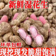 新鮮濕花生帶殼花生現(xiàn)挖當(dāng)季粉皮泥殼花生水煮生吃農(nóng)家紅皮小花生 粉皮濕花生1斤 帶殼帶泥發(fā)貨，介意慎拍