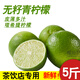 福仙品無籽青檸檬薄皮多汁塔希提新鮮現(xiàn)摘小青檸檬薄皮奶茶店用檸檬5斤 青檸檬（中大果70g以上） 5斤（約29-50個）茶飲店專用