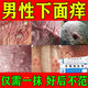 克霉唑乳膏陰部瘙癢私處止癢軟膏陰囊潮濕瘙癢下面蛋蛋癢男人專用止癢去好根止癢殺菌專男科皮膚用藥非處方藥 1盒裝【專攻男性陰部瘙癢】