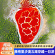 內(nèi)蒙阿拉善五湖穿越騰格里沙漠烏蘭湖寧夏銀川中衛(wèi)包車跟團一日游 銀川出發(fā)包車