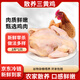 崠鮮三黃雞2斤 農(nóng)家土雞 新鮮冷凍紅燒白切鹽焗煲湯雞肉 源頭直發(fā)