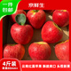 京鮮生云南昭通紅露蘋果 凈重4斤單果80mm+ 生鮮水果 源頭直發(fā)