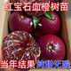 新品種紅寶石血橙樹(shù)苗當年結果橙子果樹(shù)苗抗旱耐寒盆栽地栽無(wú)核 無(wú)核高產(chǎn)血橙 4年苗(結果穩定)