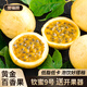 譽福園黃金特大百香果廣西欽蜜9號現(xiàn)摘純甜新鮮水果當季百香果原漿泡水 中果 30-45試吃嘗鮮 1斤【送開果器】