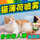 快寵貓薄荷噴霧誘導(dǎo)劑高純度逗喵快樂水手工皂沐浴露舔可食用自嗨舒緩 【貓薄荷誘導(dǎo)噴劑】一瓶裝