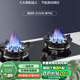澳柯瑪(AUCMA) 燃?xì)庠铍p灶家用煤氣灶天然氣液化氣5.2kW猛火灶具 臺(tái)式嵌入式兩用 一級(jí)能效 補(bǔ)貼 天然氣/5.2九腔猛火+聚能環(huán)3D309B