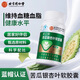 北京同仁堂索正牌苦瓜銀杏葉軟膠囊有助于維持血糖血脂健康水平成人中老年人 1盒體驗裝【苦瓜銀杏葉軟膠囊】