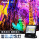 泛彩led溶洞投光燈樹燈景觀燈戶外防水投射燈山洞燈亮化巖洞照樹射燈 100w 綠/黃/紅/藍/暖/紫/粉