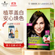 施華蔻（Schwarzkopf）怡然染發(fā)霜4.1/9亞麻褐棕 染發(fā)劑植物染發(fā)膏亞麻棕自己染男女蓋白