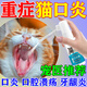 貓口炎爛嘴流口水非藥口腔潰瘍2801牙齦發(fā)炎怡口安貓口炎噴劑專用 一盒裝【輕度貓口炎】多買多送