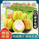 阿克蘇蘋果;AKSU；AKESU APPLE【順豐直郵】新疆庫爾勒香梨子特級母梨整箱時令新鮮水果 特級母梨凈重5斤 單果115-150g