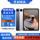 Apple蘋(píng)果平板電腦 ipadPro2020/2021 11寸12.9寸 2代 四代 二手平板電腦 21款ipad Pro 11寸 256G WIFI版 99成新