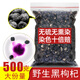 北京同仁堂正宗青海食用散裝野生黑枸杞子果干貨寧夏狗紀(jì)構(gòu)杞茍杞茶男腎 大果凈含量250克