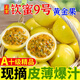 十里饞廣西欽密9號黃金百香果應季水果整箱現(xiàn)摘黃皮包郵 【中果】單果36g+ 皺皮果 凈重1斤(送開果器)