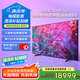 三星（SAMSUNG）98英寸電視 98DU9000/98DU9100 超大屏晶彩幻色AI智能4K120Hz高刷新超高清巨幕 開機無廣告 98英寸 UA98DU9100JXXZ