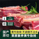 內(nèi)蒙黃膘牛排5斤牛肋排【送韭菜花】順豐新鮮原切牛排骨 草原牛肋排（送韭花醬） 5斤 1片裝
