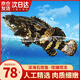 鱘好物深海石斑魚 鮮活冷凍生鮮野生龍膽石斑魚類海魚龍躉魚海鮮 1.4-1.6斤/條【限時嘗鮮】