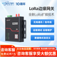 IoTRouterLoRa邊緣計(jì)算網(wǎng)關(guān)4G全網(wǎng)通網(wǎng)口串口通信遠(yuǎn)程運(yùn)維邏輯數(shù)據(jù)格式自定義可視化編程EG2000 EG2000-4G版   LoRa網(wǎng)關(guān)