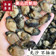 同仁堂蠔豉干貨湛江特級生曬生蠔干牡蠣特大海鮮干貨干海產(chǎn)品煮粥煲湯 野生蠔干真空包裝500g