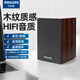 飛利浦（PHILIPS）電腦音響小音箱 藍牙音箱電腦音響桌面臺式電腦音箱usb筆記本音響多媒體重低音家用游戲擴音器 SPA20經(jīng)典版木質(zhì)音響