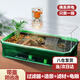 茨格曼生態(tài)烏龜缸飼養(yǎng)箱家用養(yǎng)龜專用箱養(yǎng)龜盆塑料烏龜缸養(yǎng)殖箱冬眠箱子 綠色 大號(hào)三層全套裝