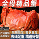 【活蟹】絕對鮮森大閘蟹去繩凈重特大鮮活螃蟹全母蟹現貨送禮湖蟹 精選大閘蟹*全母蟹1.8-2.1兩8只