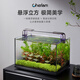 CHERLAM魚缸底座桌面客廳家用生態(tài)斗金魚烏龜缸造景小型水草養(yǎng)魚玻璃裸缸 【裸缸】懸浮極簡40款