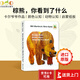 英文原版 Brown Bear Brown Bear What Do you see 棕熊棕熊 你看到了什么 棕色的熊 Eric Carle 艾瑞卡爾 撕不爛紙板書 認(rèn)知繪本 送音頻