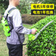 TOMSPOWER充電式采茶機無(wú)刷托馬斯綠籬修剪機鋰電動(dòng)小型單手割草剪茶葉樹(shù)機 24V彎刀雙刃款+12A(10小時(shí))
