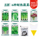 北蔬蔬菜種子空心菜莧菜木耳菜黃瓜快菜耐熱種籽 6種耐熱蔬菜種子套裝
