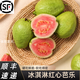 居里福建紅心芭樂順豐新鮮紅番石榴紅肉香甜軟芭樂應(yīng)季水果番石榴 5斤精選【順豐】