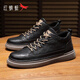 紅蜻蜓男鞋休閑鞋2025冬季皮鞋新款百搭經(jīng)典板鞋男士輕奢商務(wù)黑色鞋子男 咖啡黑四季款(7002T) 42