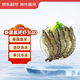 京東超市 海外直采 泰國活凍黑虎蝦大號2斤 (31-40規格) 海鮮水產(chǎn)