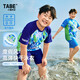 小豬托尼男童泳衣耐氯快干兒童游泳衣6-12歲青少年泳衣分體大童泳衣