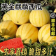 【順豐】金黃后無(wú)籽麒麟西瓜黃金西瓜脆甜爽口黃皮西瓜禮盒裝 2500-3000g
