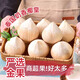 優(yōu)味集椰子【順豐JD速發(fā)】泰國進口牛奶椰皇新鮮白椰孕婦補羊水椰青水果 1粒裝（商超A+級大果嘗鮮） 商超A+級大果400-600g