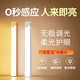 以典感應(yīng)夜燈人體感應(yīng)燈臥室老人起夜床頭燈充電磁吸樓道感應(yīng)燈小夜燈 10厘米感應(yīng) 白光