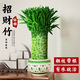 喜藝富貴竹水培植物室內(nèi)帶根盆栽開業(yè)新房喬遷送禮大型綠植竹子盆栽 編織招財(cái)竹加大號(hào)【鏤空陶瓷盆】