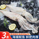 尚致魷魚生鮮新鮮冷凍大魷魚整只超大冰鮮燒烤食材鐵板魷魚 【超大號(hào)】魷魚 500g(凈重)  *3條