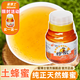 蜜博士土蜂蜜純正天然500g回流瓶裝蜂蜜油菜花荊條蜜沖飲泡水無(wú)添加正品 蜂蜜500g*1瓶【下單送同款蜂蜜1瓶】