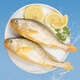 竹嶼島浙江大陳冰鮮原條大黃魚(yú)凈重 650g*2條 生鮮源頭直發(fā)原條大黃魚(yú) 