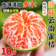 正宗云南蜜橘9斤新鮮蜜桔當季現(xiàn)摘早熟柑橘宜昌綠皮蜜橘孕婦水果H 3斤