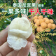 農(nóng)味族順豐泰國進(jìn)口龍宮果椰色果新鮮熱帶水果龍貢果稀缺品種孕婦 1斤（常溫儲存，不能放入冰箱）