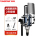 得勝（TAKSTAR） SM-9 大振膜電容麥克風話筒 手機直播電腦錄音有聲書專業(yè)話筒 得勝SM-9+大號懸臂支架+耳機（順豐包郵）