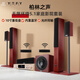 YTFY柏林之聲家庭影院音響套裝5.1家用客廳環(huán)繞組合音箱電視k歌重低音 七件套(10寸低音炮)+話(huà)筒環(huán)繞+無(wú)線話(huà)筒
