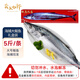 賣(mài)魚(yú)七郎青島大鲅魚(yú) 中秋海鮮禮盒整條海魚(yú)馬鮫魚(yú)海捕生鮮 1條/5斤