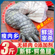 柒島鱷魚(yú)肉鱷魚(yú)尾鱷魚(yú)腿肉鱷魚(yú)腩肉鱷掌肉帶皮鱷魚(yú)生鮮肉食材凈重 3斤鱷魚(yú)腿肉